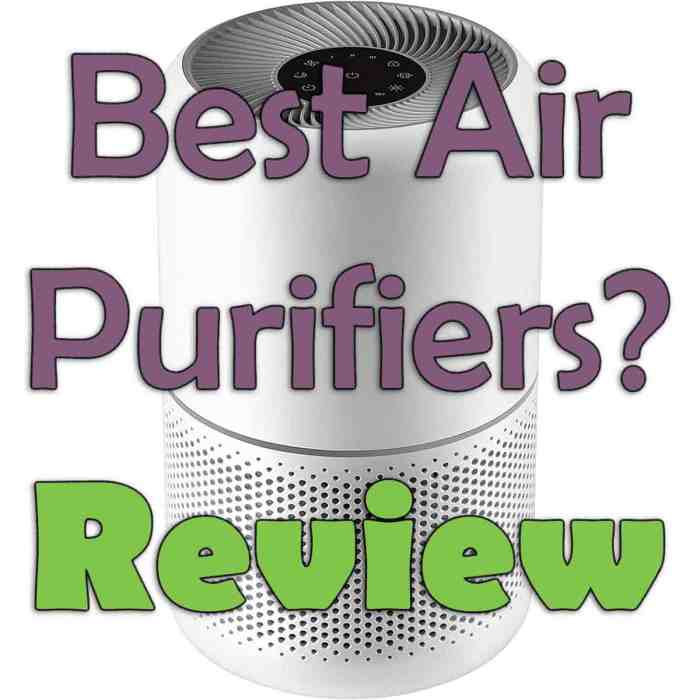 Air Purifiers: What Should I Look For? » LeelaLicious
