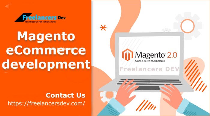 Hire Magento eCommerce Developer from iMOBDEV to strengthen multi ...