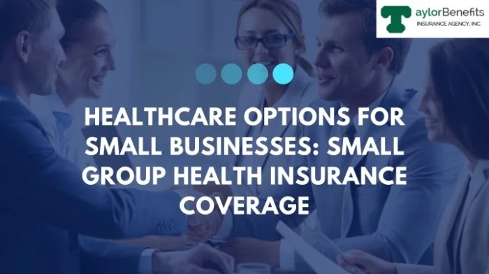 PPT - Healthcare Options for Small Businesses Small Group Health ...