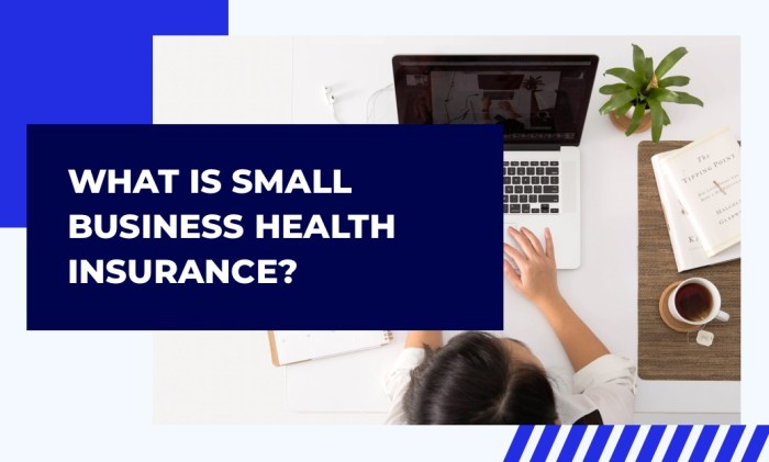 What is Small Biz Health Insurance? | Association Health Plans